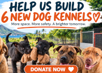  https://gofund.me/53fcbb4c5